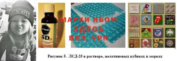 стаф Алексеевка