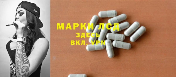 стаф Алексин