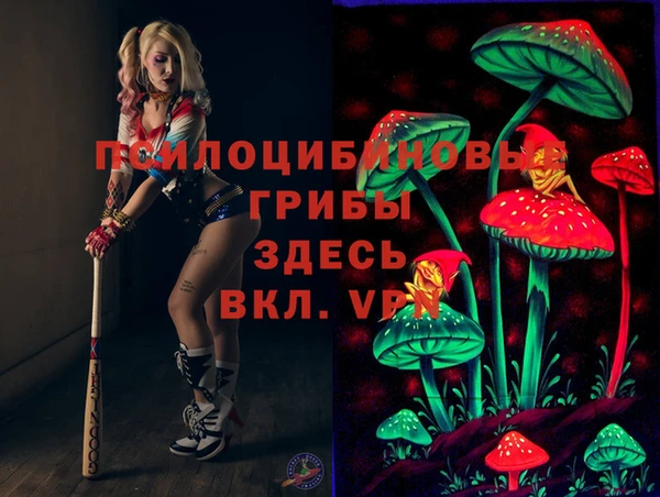 стаф Алексеевка