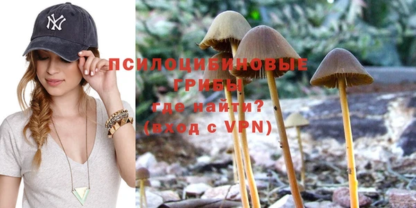 стаф Алексеевка