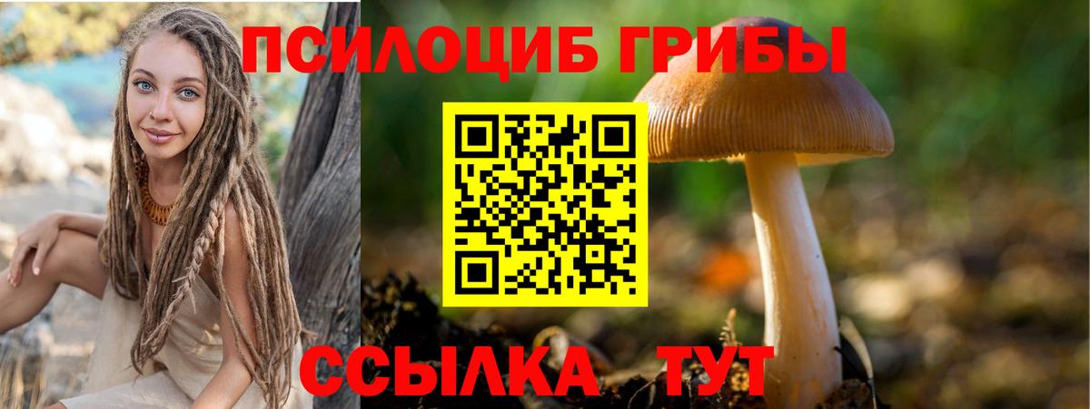 Волжский  Псилоцибиновые грибы Cubensis  Вход с VPN 