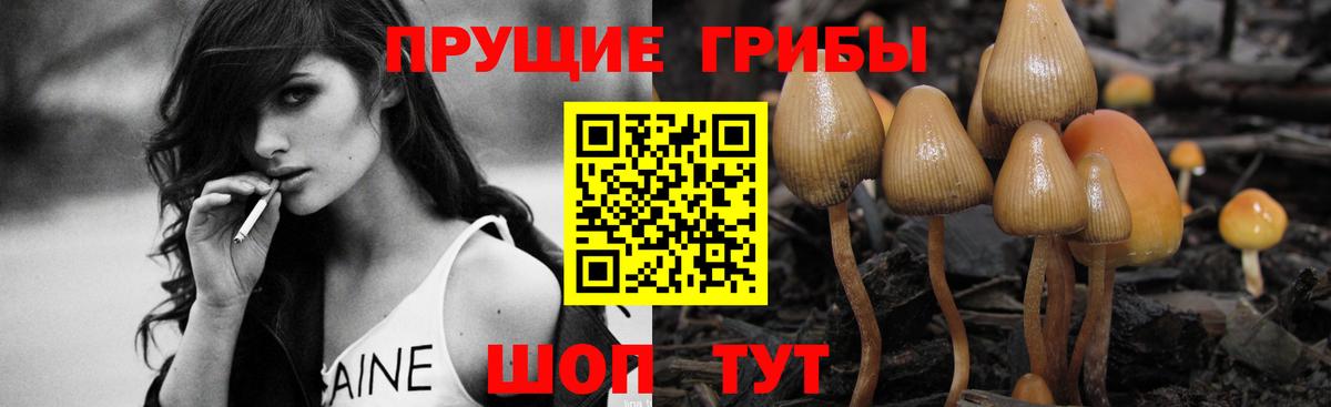 Галлюциногенные грибы Psilocybe Волжский
